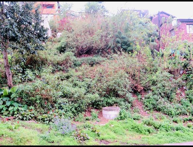 LAND FOR SALE IN CLERMONT CENTRAL